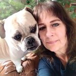 Lori Haley Onsum - @lorihaleyonsum - Instagram