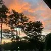 loraannhartman - @loraannhartman - TikTok