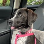 Lori Hoffman - @hoffman_lori - Instagram