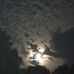 Lori Howe - Facebook