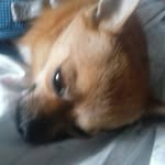 Lori Jamison - @lorijamison1999 - Instagram