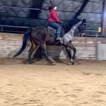 Lori Jamison - @lori.jamison.944 - Instagram
