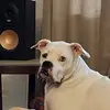 LoraZollkent71 - @www.mailesmom.1 - TikTok
