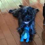Lori Kimball - @dississtem - Instagram