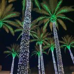 Lora Knapp•ExpLORAtion Travel Boutique - @loraknapp.travel - Instagram