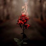 @_lora.lay_ - Instagram