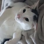 Lora McGrellis Leonard - @lora.leonard - Instagram