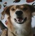 Lora Lindsey - Facebook