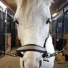 Loraly Tremblay - @loraly.tremblay - TikTok