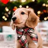 Laura Malone - @laura.malone2008 - TikTok