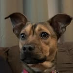 Lori Pleasant Mayfield - @lorimayfield40 - Instagram