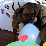 Lori McCann - @loricann_73 - Instagram
