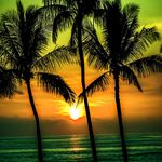 Lori McFarland - @lorimcfarland68 - Instagram