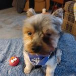 Lori Mcfarland - @lori.mcfarland.777 - Instagram