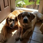 Lori McNeil - @mcmom04 - Instagram
