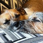 Lora Meyer - @loras_dream - Instagram