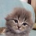Lora Moser 2 - Facebook