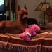 Lora Lee Mueller - Facebook