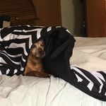 Lora Lee Mueller - @loramueller66 - Instagram