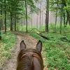 loramurrayrondeau - @loramurrayrondeau - TikTok
