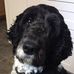 Lora Lee Newell - Facebook