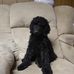 Lora Schlicher Newell - Facebook