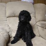 Lora Schlicher Newell - @lora.3.newell - Instagram