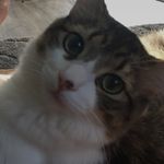 Lori Newell - @newell6740 - Instagram