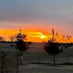 Lori Nielsen Dorris - @krazyfilly - Instagram