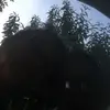 Lora Parris - @lora.juicylucy - TikTok