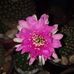 Lora Perez - Facebook