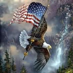 Lora Lee Perkins - Facebook