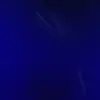 loraphelps1980 - @loraphelps1980 - TikTok