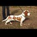 Laura Pollard - Facebook