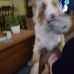 Lora Pollard - Facebook