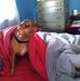 Lora Pollard - Facebook