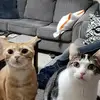 Lori Purdy - @lori.purdy - TikTok