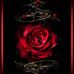 Lora Riddle - Facebook
