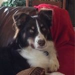 Lori Riddle - @lariddle1 - Instagram