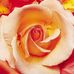Lora Heflin Robertson - Facebook