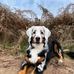 Lora Robertson - Facebook