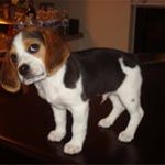 Lori Robertson - @lori.robertson.927 - Instagram