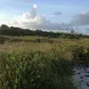 lorarodgers319 - @lorarodgers319 - TikTok