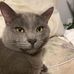 Laura Shaw - Facebook