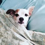 Lori Arndt-Stallings - @larndt1018 - Instagram