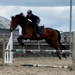 Lora stevens - @lrs.equine - Instagram