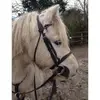 lora Stevens  - @lora.stevens - TikTok