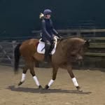 @lorastevens_eq - Instagram