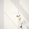 Lora Stoyanova - @lorastoyanova2 - TikTok