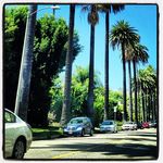 Lora Sutton - @prominomsosai335 - Instagram